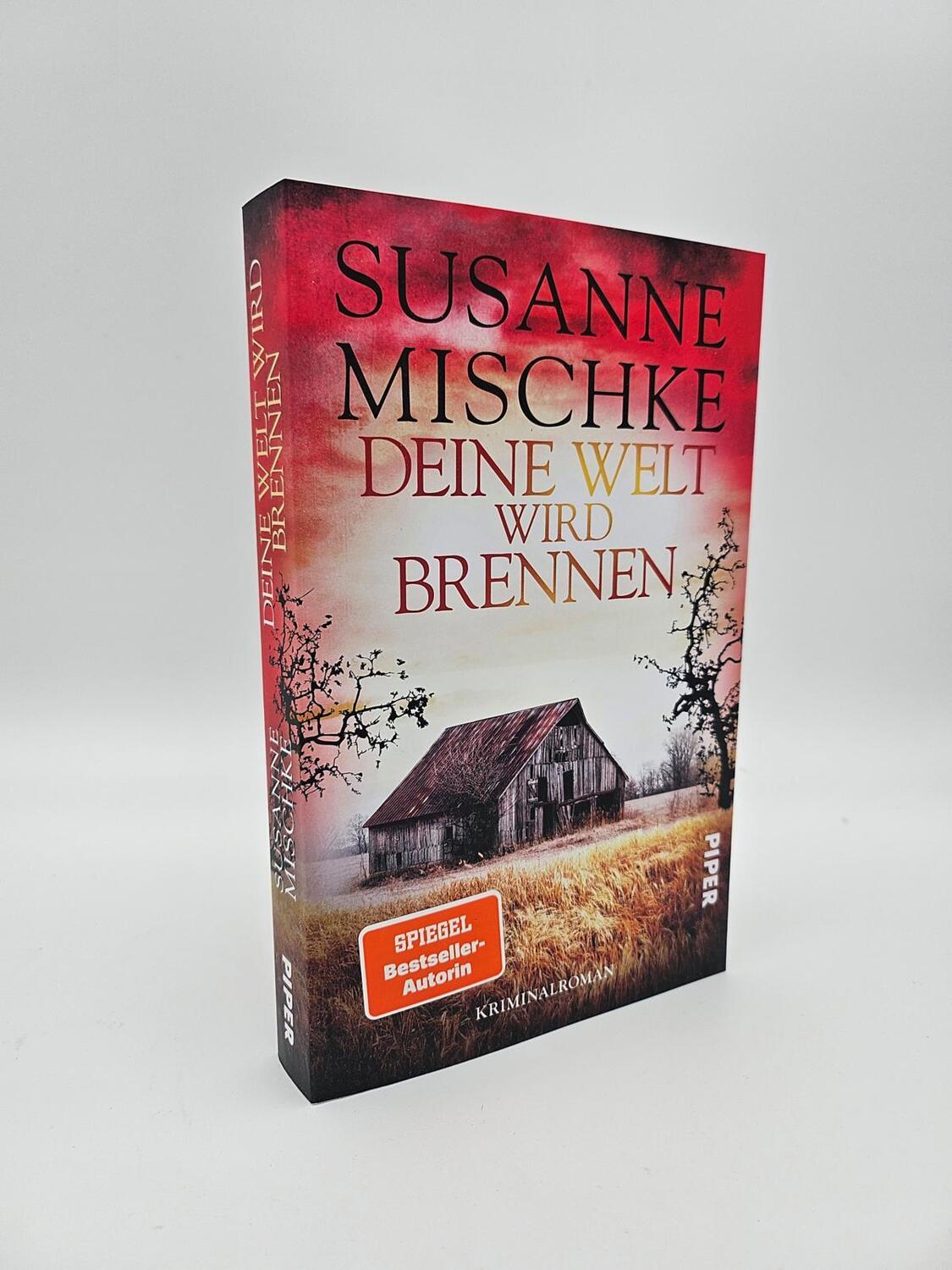 Bild: 9783492063739 | Deine Welt wird brennen | Susanne Mischke | Taschenbuch | 304 S.