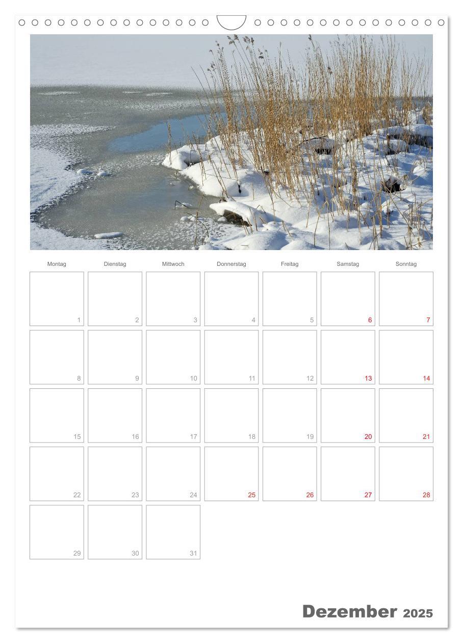 Bild: 9783457082607 | Insel Rügen / Planer (Wandkalender 2025 DIN A3 hoch), CALVENDO...