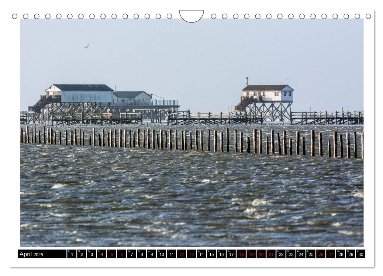 Bild: 9783435724260 | St. Peter-Ording - Natur pur (Wandkalender 2025 DIN A4 quer),...