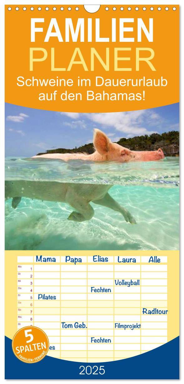 Cover: 9783457119426 | Familienplaner 2025 - Schweine im Dauerurlaub auf den Bahamas! mit...