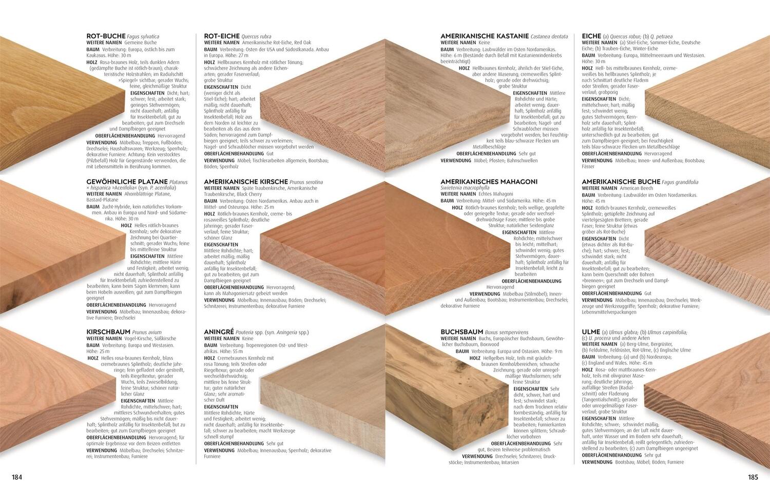 Bild: 9783831040070 | Praxisbuch Holz | Techniken - Werkzeuge - Projekte | Buch | 400 S.