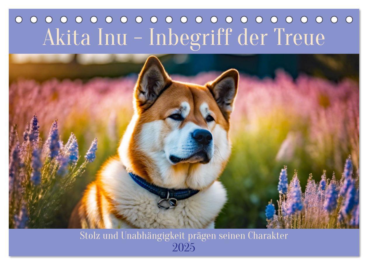 Cover: 9783457071731 | Akita Inu - Inbegriff der Treue (Tischkalender 2025 DIN A5 quer),...