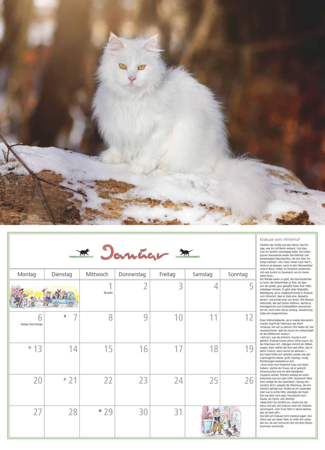 Bild: 4250809652412 | DUMONT - DUMONTS Katzenkalender 2025 Broschürenkalender, 42x29cm,...