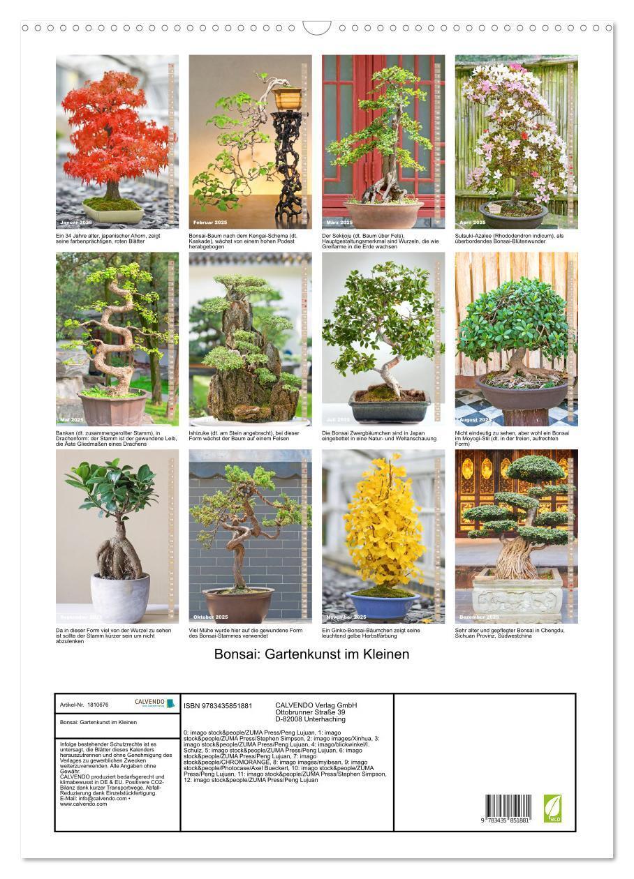 Bild: 9783435851881 | Bonsai: Gartenkunst im Kleinen (Wandkalender 2025 DIN A2 hoch),...