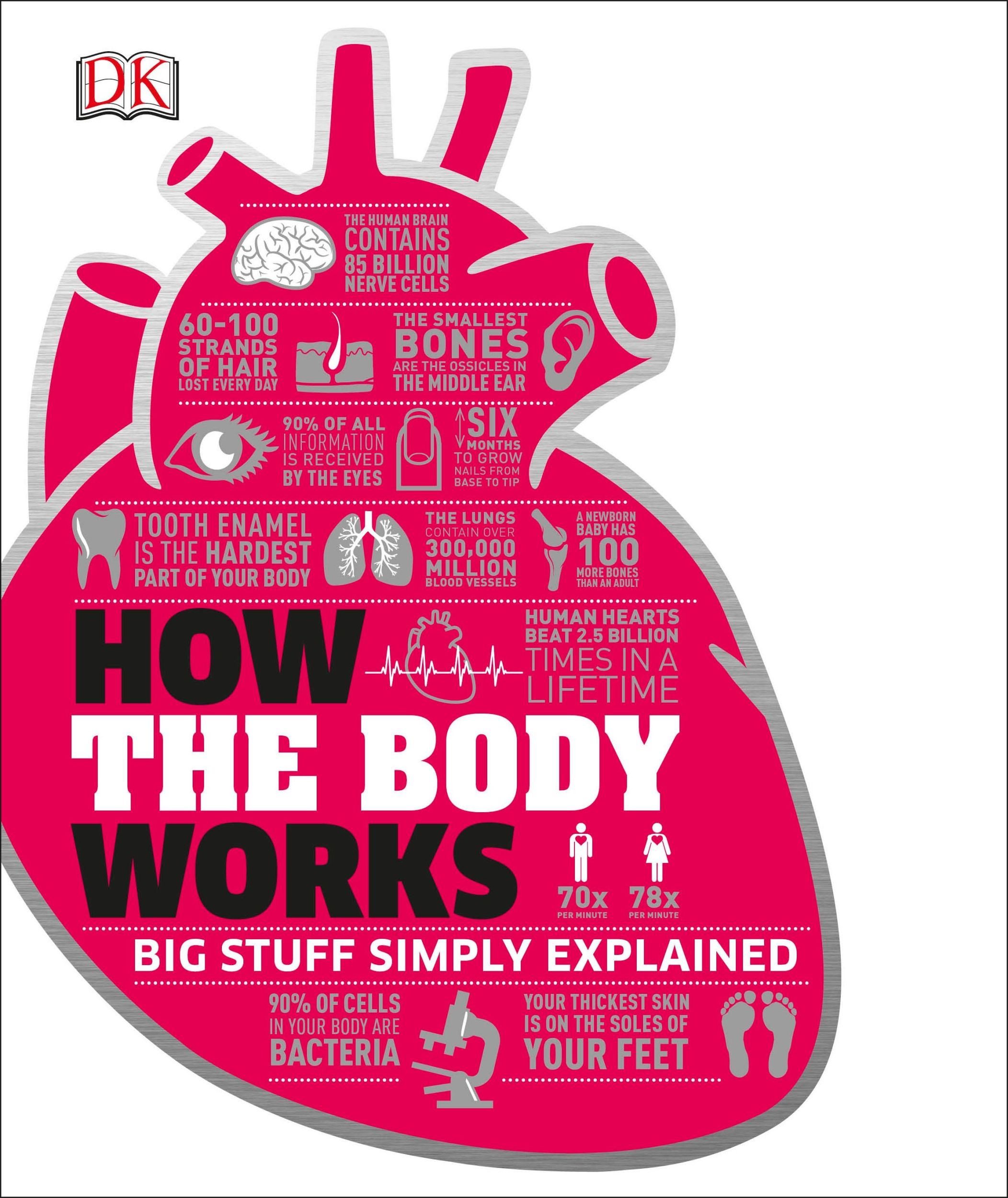 Cover: 9780241188019 | How the Body Works | The Facts Simply Explained | Dk | Buch | 256 S.