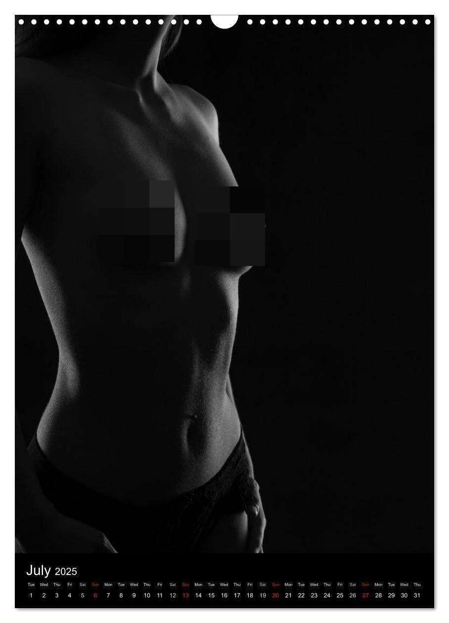 Bild: 9781325976850 | Erotic Silhouettes / UK-Version (Wall Calendar 2025 DIN A3...