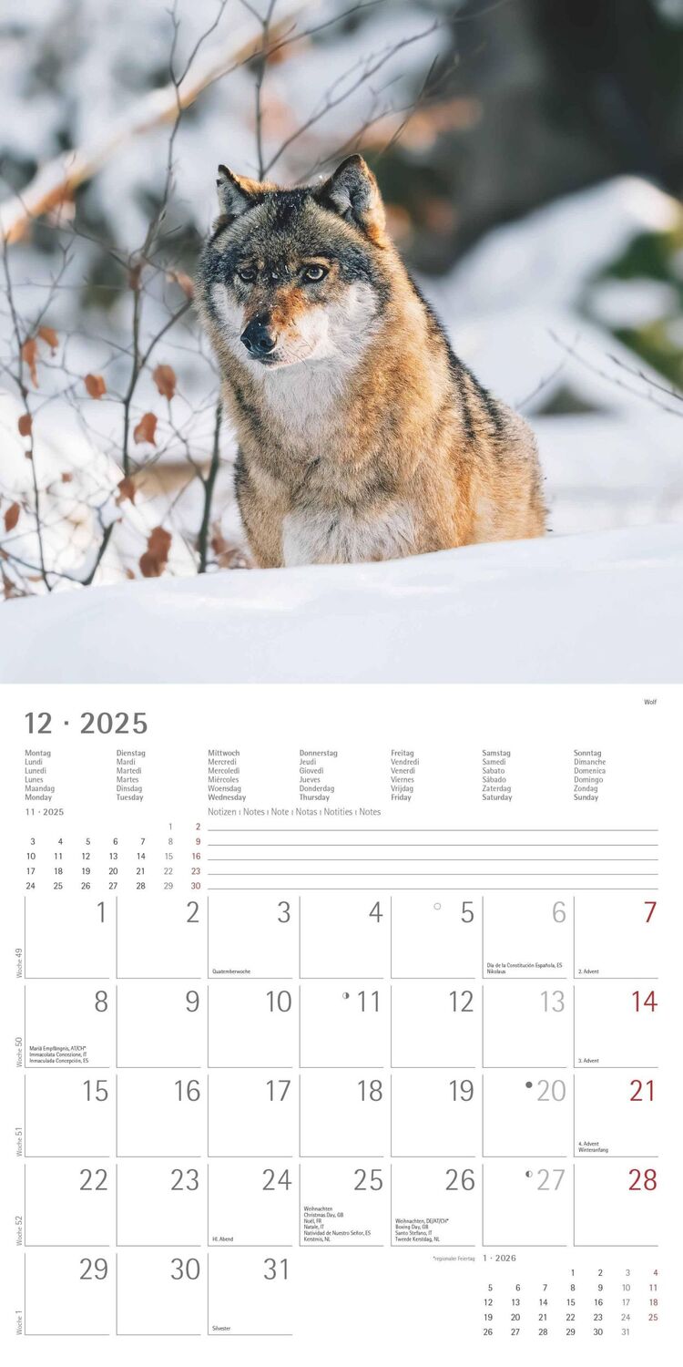 Bild: 4251732340803 | Wald und Flur 2025 - Broschürenkalender 30x30 cm (30x60 geöffnet) -...