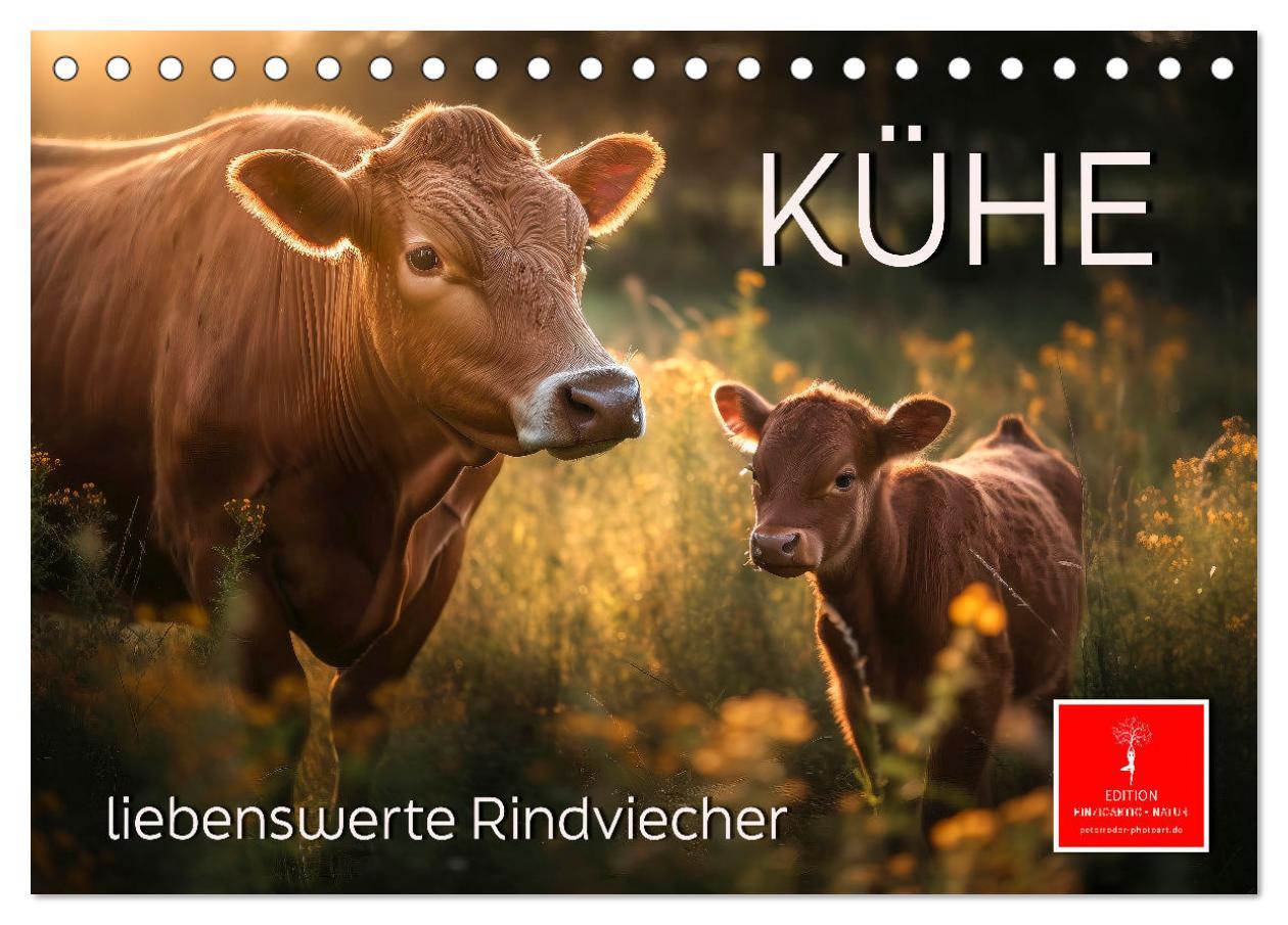 Cover: 9783383909573 | Kühe - liebenswerte Rindviecher (Tischkalender 2025 DIN A5 quer),...