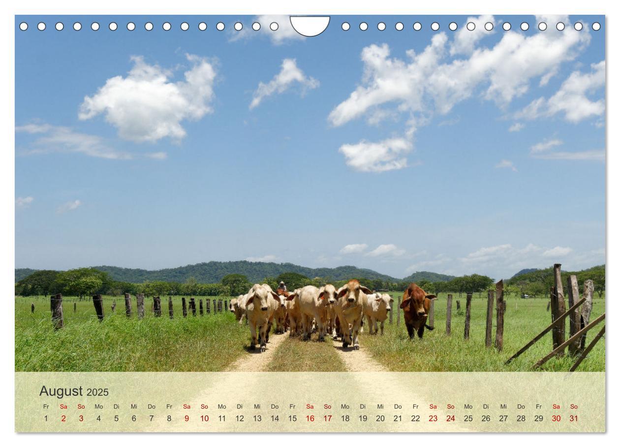 Bild: 9783383837029 | Bekanntes und Unbekanntes Costa Rica (Wandkalender 2025 DIN A4...