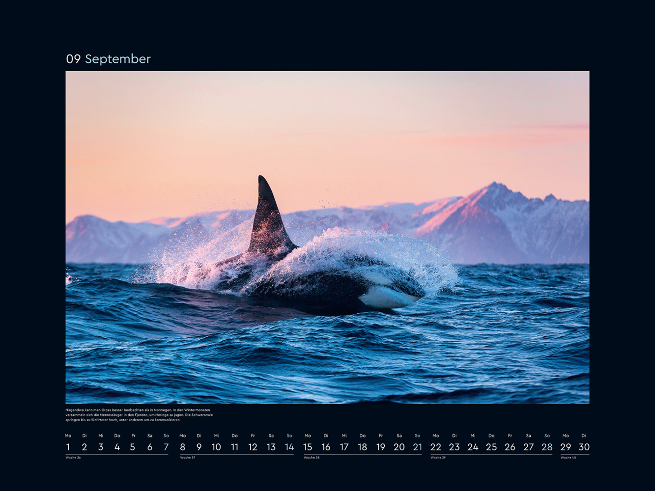 Bild: 9783965913585 | Norwegen - KUNTH Wandkalender 2025 | Kalender | 14 S. | Deutsch | 2025