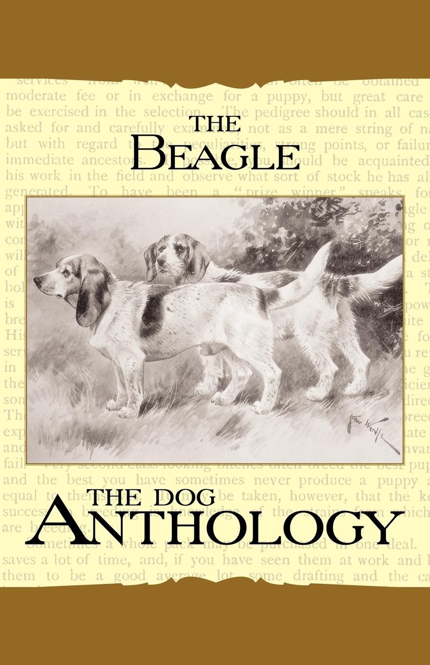 Cover: 9781406787801 | The Beagle - A Dog Anthology (A Vintage Dog Books Breed Classic)