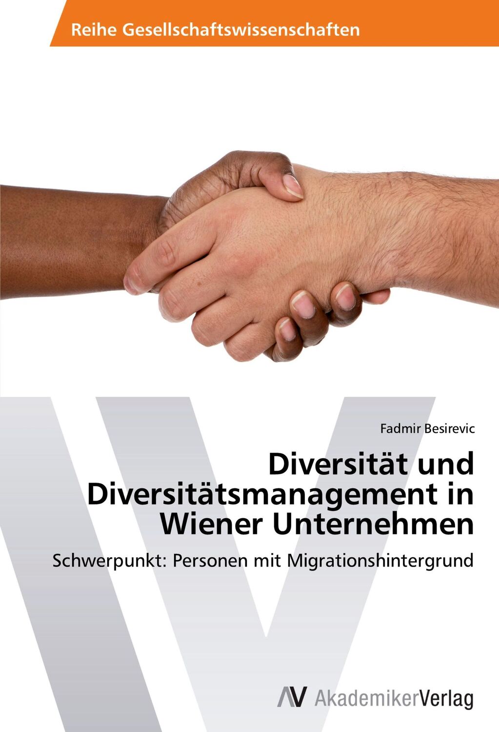 Cover: 9783639626094 | Diversität und Diversitätsmanagement in Wiener Unternehmen | Besirevic