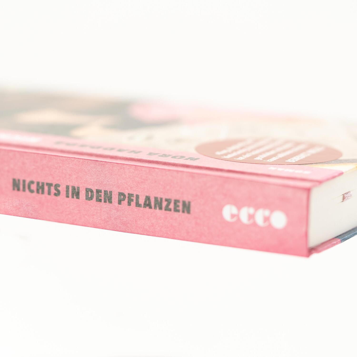 Bild: 9783753000879 | Nichts in den Pflanzen | Nora Haddada | Buch | 237 S. | Deutsch | 2023