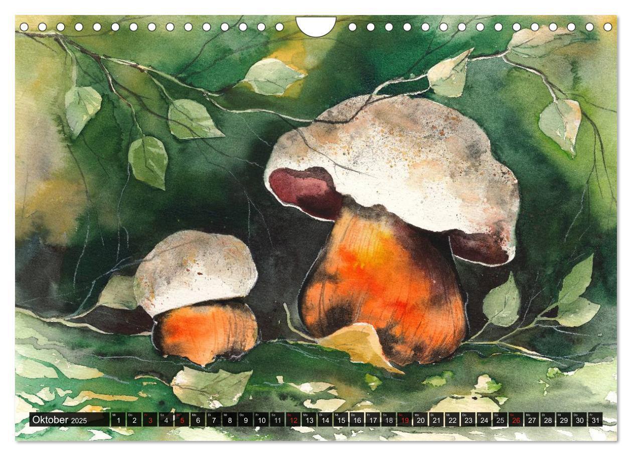 Bild: 9783435602124 | Pilze in Aquarell (Wandkalender 2025 DIN A4 quer), CALVENDO...