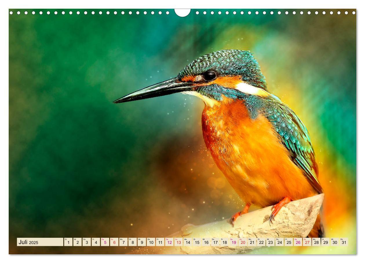 Bild: 9783435333684 | Wunderschöner Eisvogel (Wandkalender 2025 DIN A3 quer), CALVENDO...