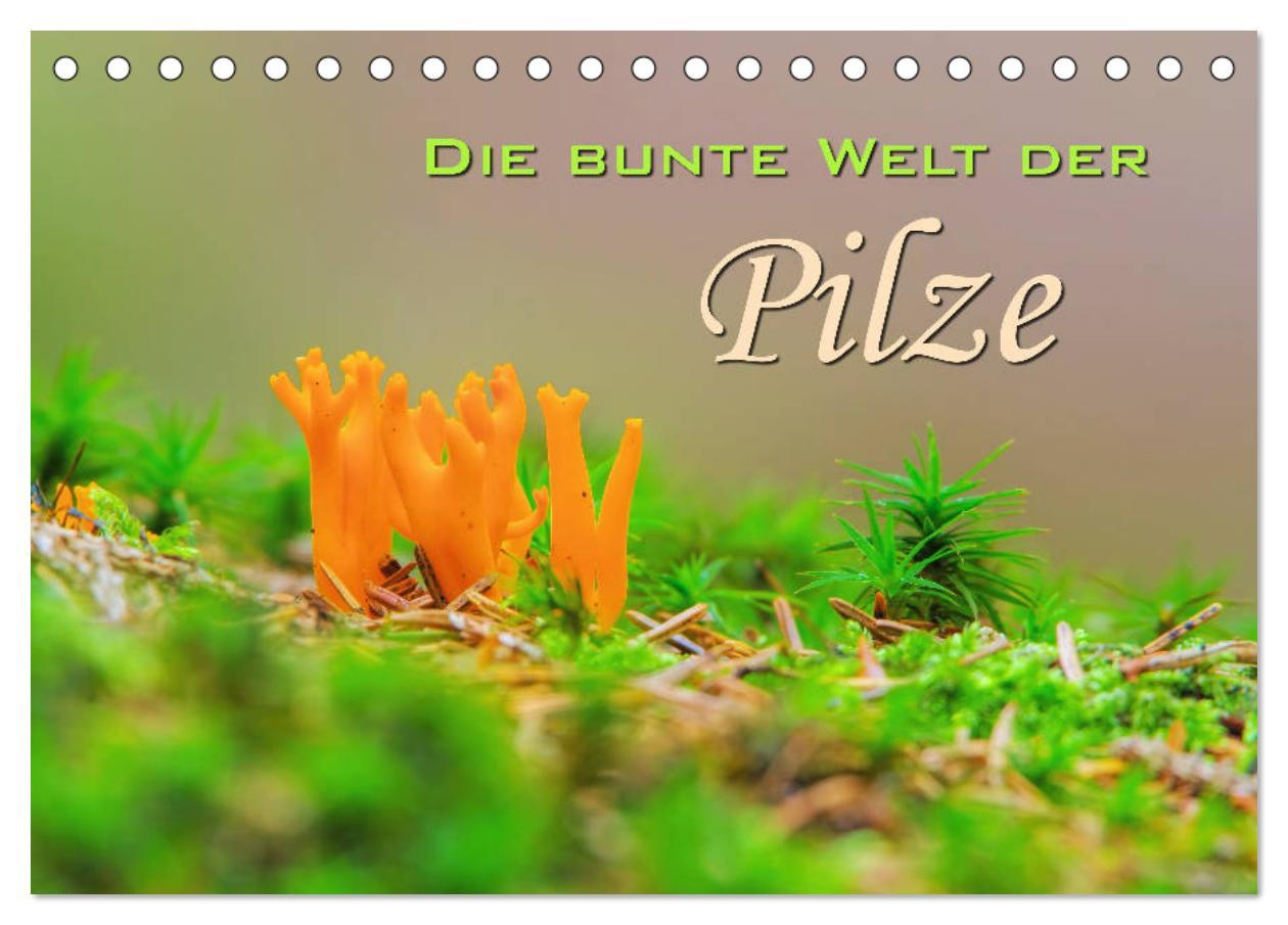 Cover: 9783435178933 | Die bunte Welt der Pilze (Tischkalender 2025 DIN A5 quer), CALVENDO...