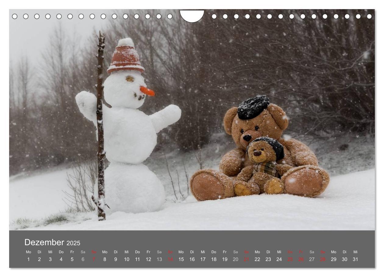 Bild: 9783435503414 | Travelling Teddy 2025 (Wandkalender 2025 DIN A4 quer), CALVENDO...