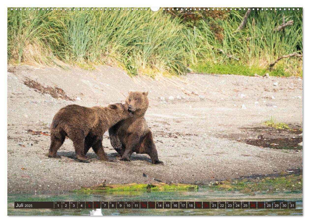 Bild: 9783435187218 | Grizzlybären im Katmai Nationalpark Alaska (Wandkalender 2025 DIN...