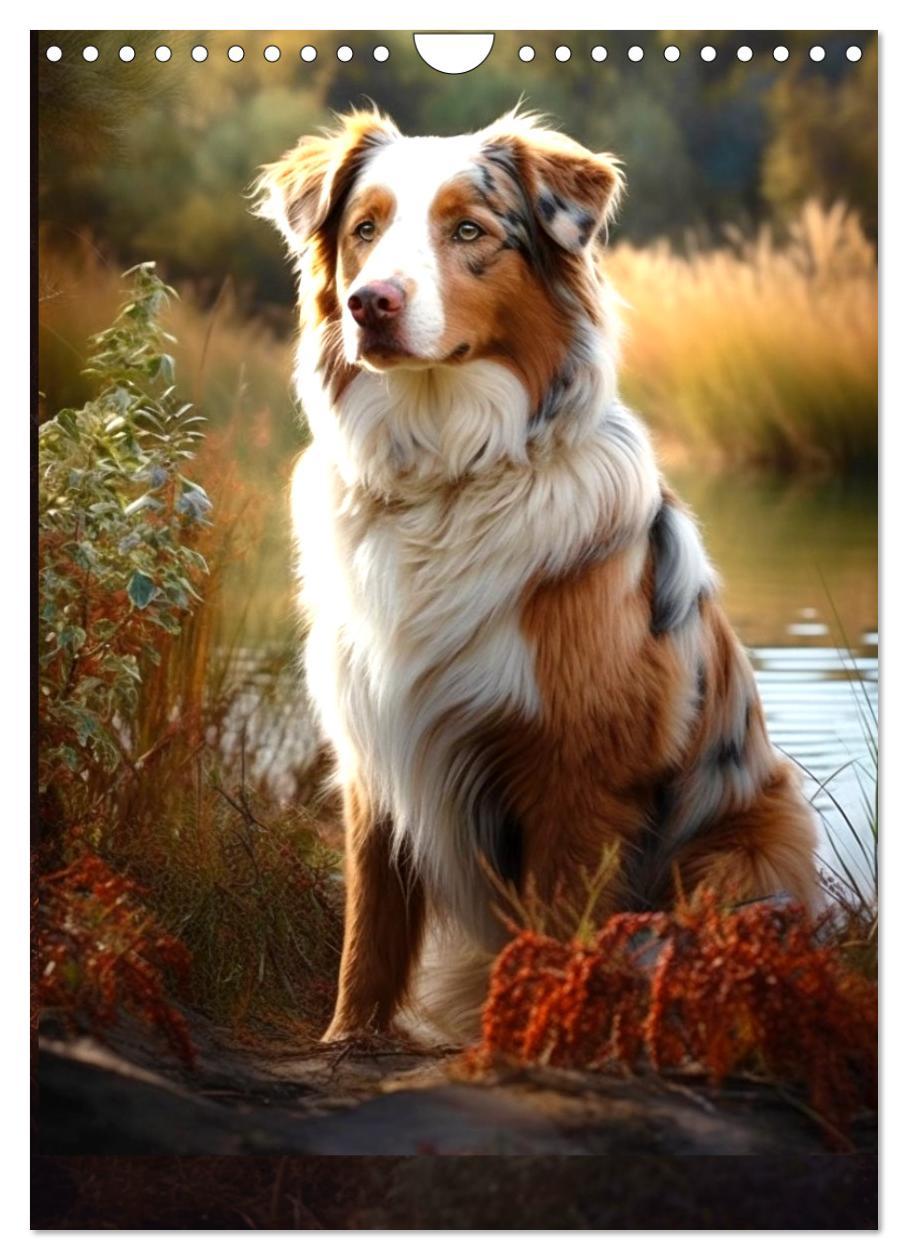 Bild: 9783435872602 | Australian Shepherd (Wandkalender 2025 DIN A4 hoch), CALVENDO...