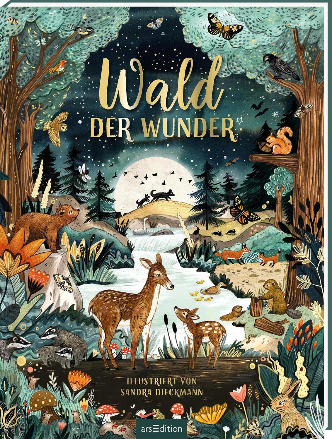 Cover: 9783845848624 | Wald der Wunder | Buch | Hardcover mit Goldfolie | 32 S. | Deutsch