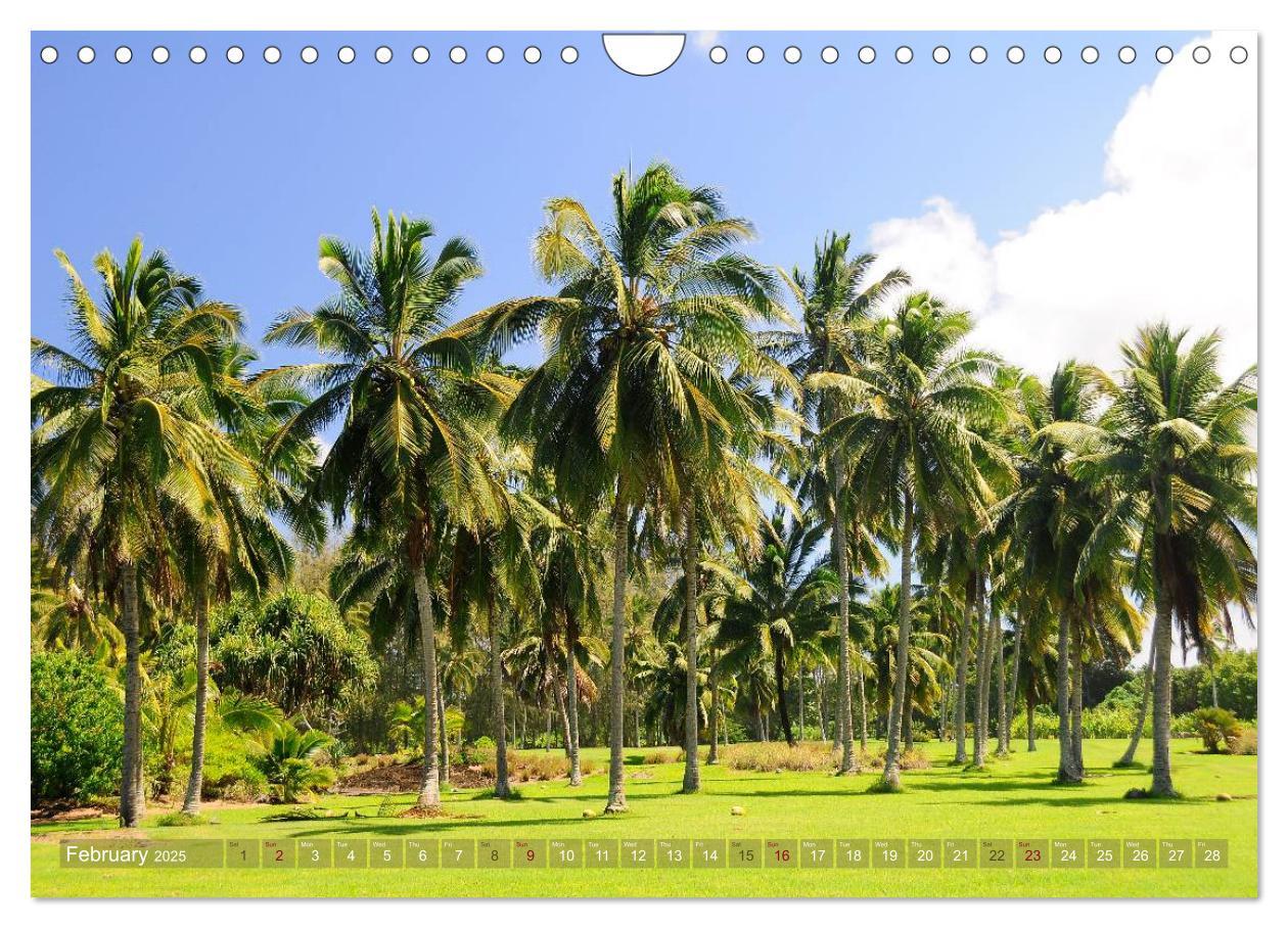 Bild: 9781325996612 | The Paradise of Hawaii (Wall Calendar 2025 DIN A4 landscape),...