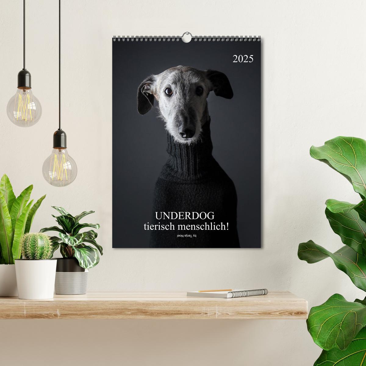 Bild: 9783435932870 | UNDERDOG - Windhundportraits (Wandkalender 2025 DIN A3 hoch),...