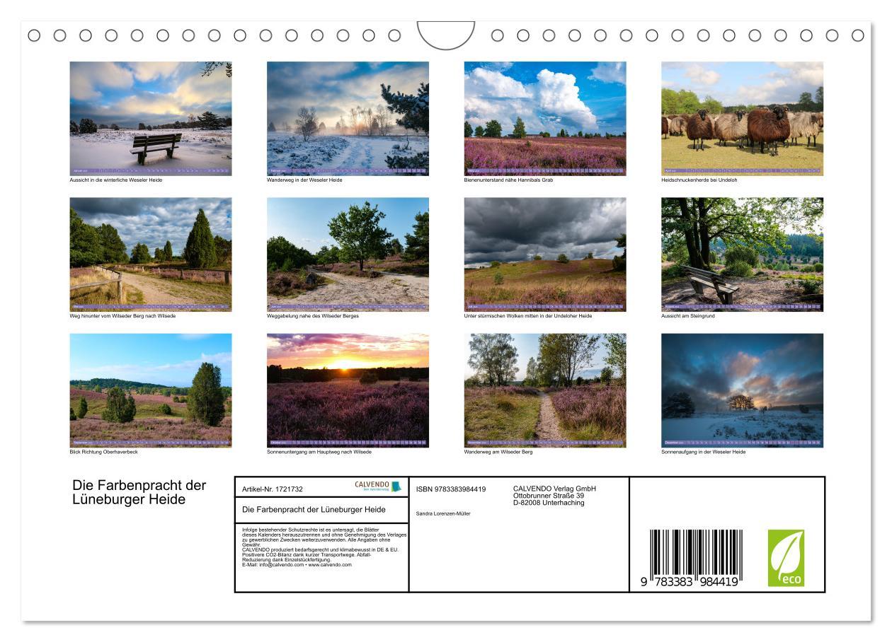 Bild: 9783383984419 | Die Farbenpracht der Lüneburger Heide (Wandkalender 2025 DIN A4...