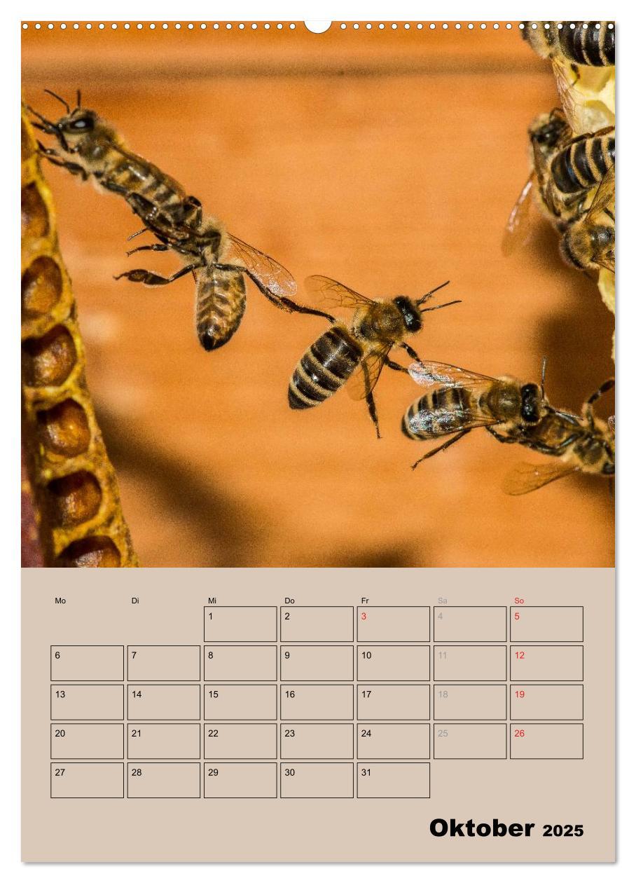 Bild: 9783457051443 | Bienenplaner (Wandkalender 2025 DIN A2 hoch), CALVENDO Monatskalender