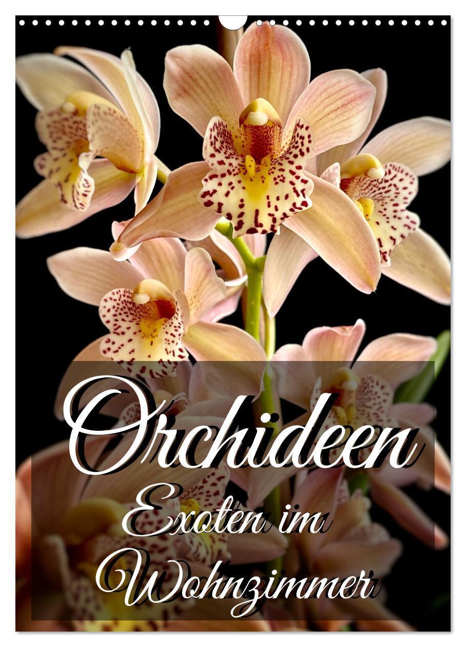 Cover: 9783435881321 | Orchideen - Exoten im Wohnzimmer (Wandkalender 2025 DIN A3 hoch),...