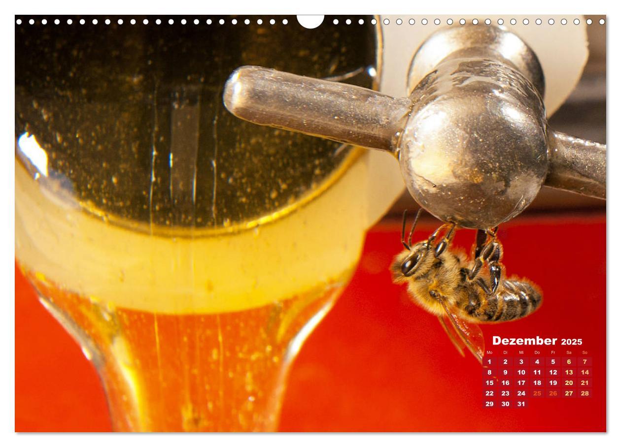 Bild: 9783435124855 | Ein Leben für den Honig - Bienen und Imker (Wandkalender 2025 DIN...