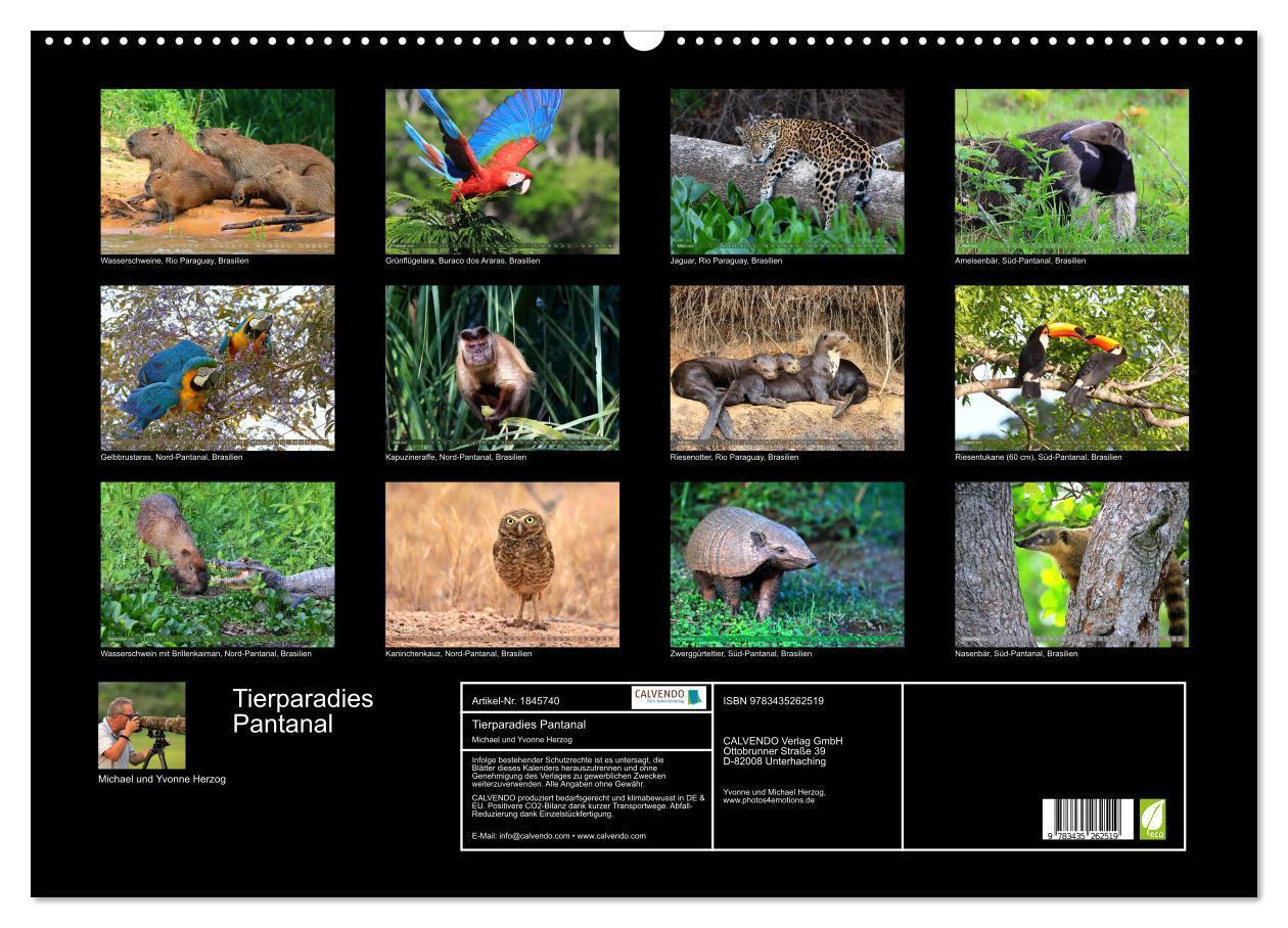 Bild: 9783435262519 | Tierparadies Pantanal (Wandkalender 2025 DIN A2 quer), CALVENDO...