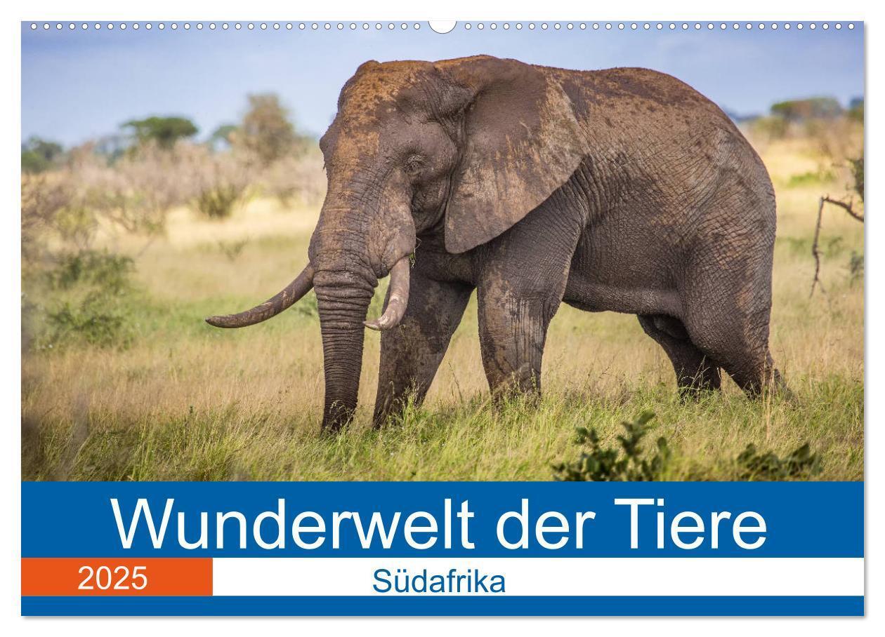 Cover: 9783435150915 | Wunderwelt der Tiere - Südafrika (Wandkalender 2025 DIN A2 quer),...