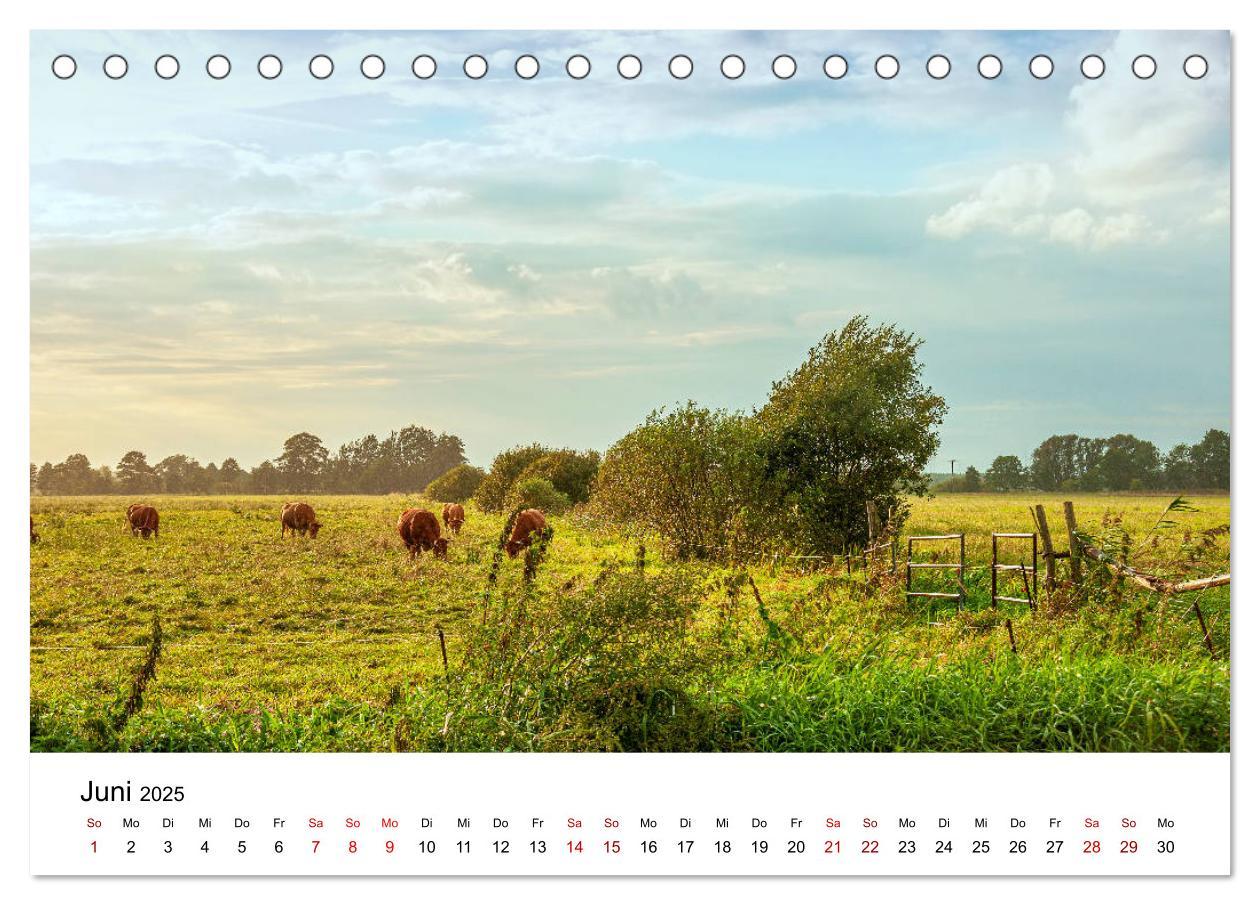 Bild: 9783435198672 | Unterwegs im Spreewald (Tischkalender 2025 DIN A5 quer), CALVENDO...