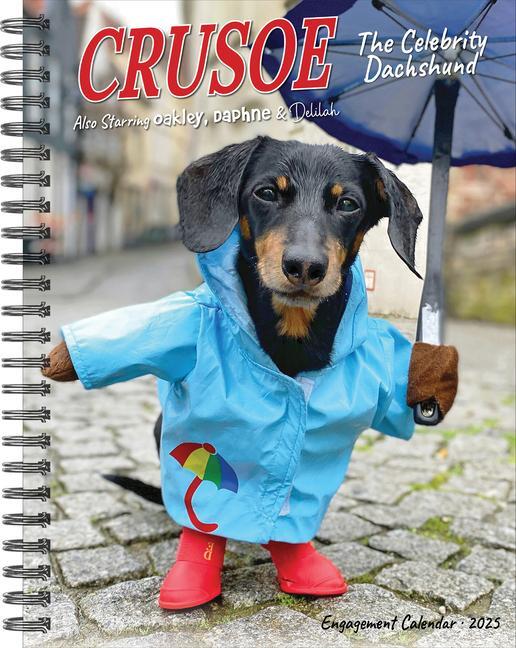 Cover: 9781549246111 | Crusoe the Celebrity Dachshund 2025 6.5 X 8.5 Engagement Calendar