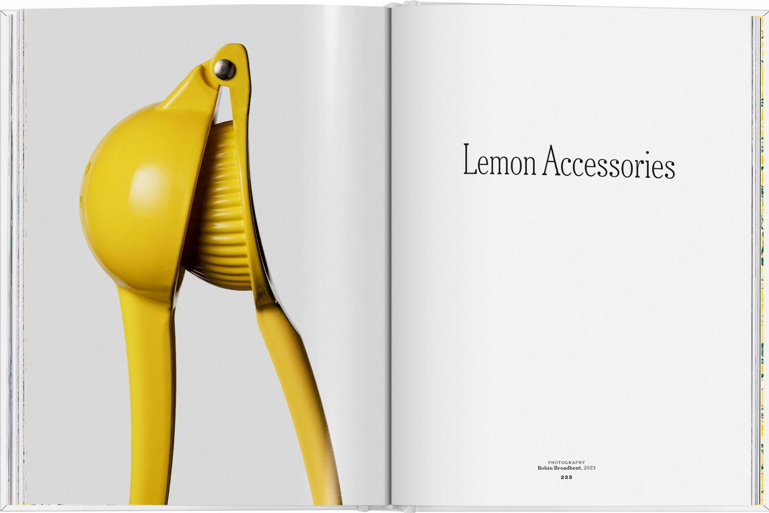 Bild: 9783836585903 | The Gourmand's Lemon. A Collection of Stories and Recipes | Pellerin