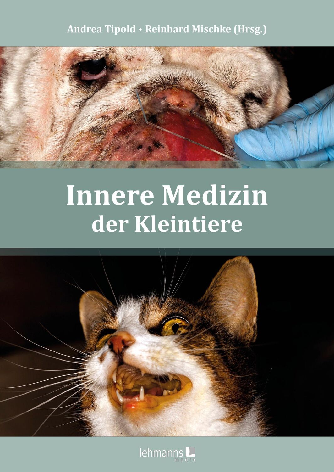 Cover: 9783965433793 | Innere Medizin der Kleintiere | Andrea Tipold (u. a.) | Taschenbuch