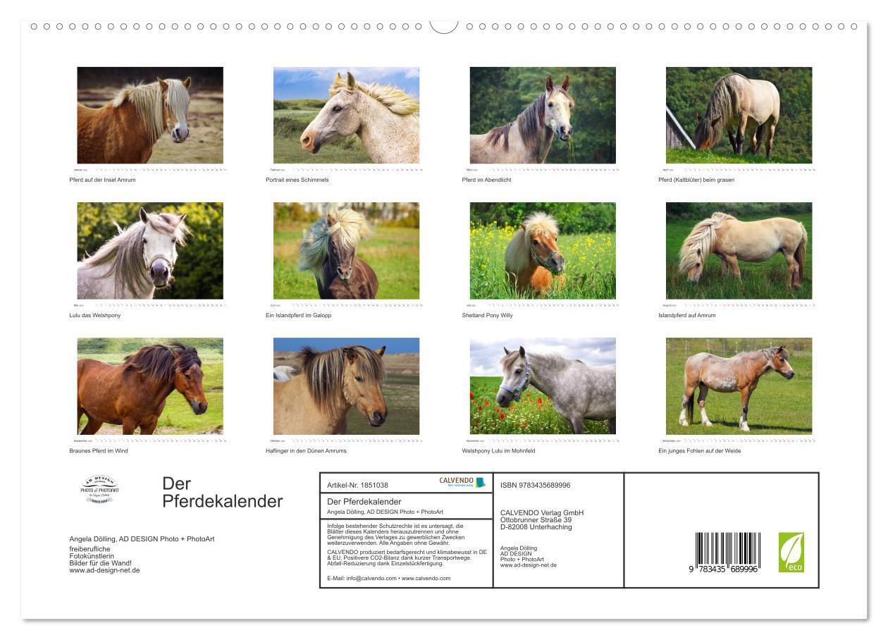 Bild: 9783435689996 | Der Pferdekalender (hochwertiger Premium Wandkalender 2025 DIN A2...