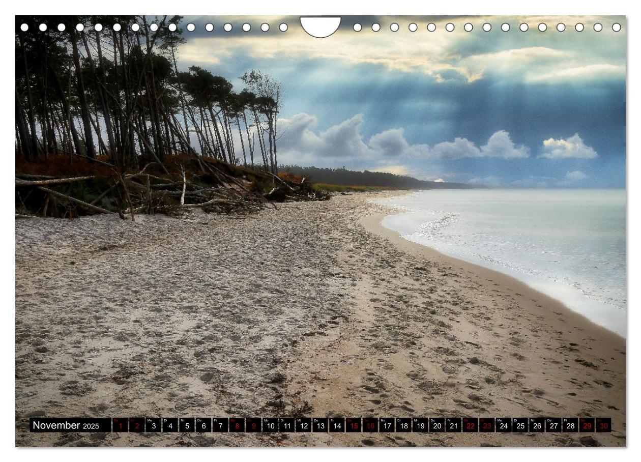 Bild: 9783435024179 | Fischland - Darß- Zingst (Wandkalender 2025 DIN A4 quer), CALVENDO...