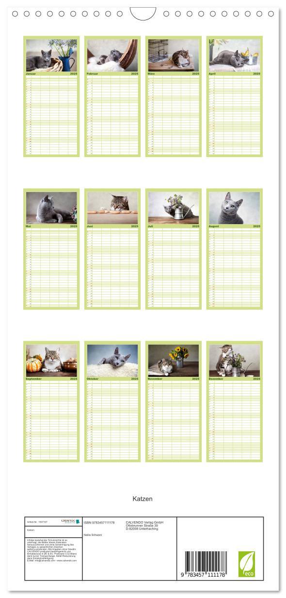 Bild: 9783457111178 | Familienplaner 2025 - Katzen mit 5 Spalten (Wandkalender, 21 x 45...