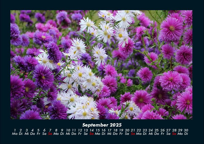 Bild: 9783755992325 | Blumenträume 2025 Fotokalender DIN A4 | Tobias Becker | Kalender