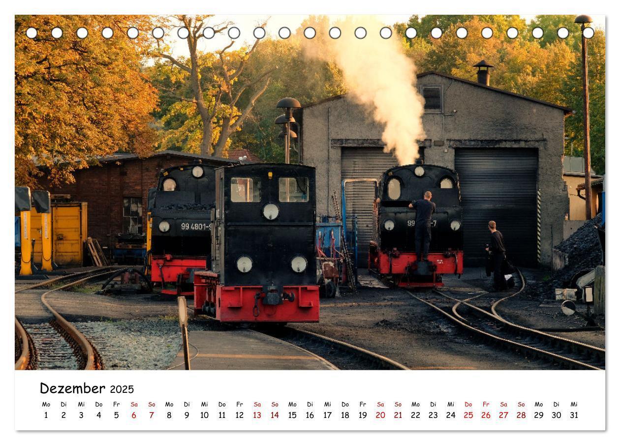 Bild: 9783383930980 | Rügens "rasender Roland" (Tischkalender 2025 DIN A5 quer), CALVENDO...