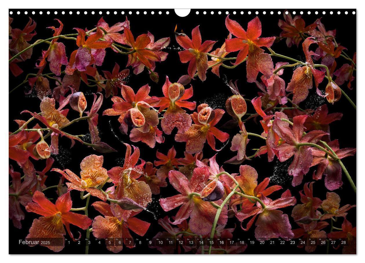 Bild: 9783383852251 | Orchidea (Wandkalender 2025 DIN A3 quer), CALVENDO Monatskalender