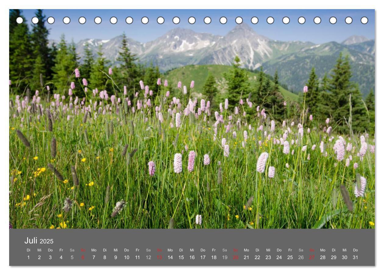 Bild: 9783435727636 | Tannheimer Tal (Tischkalender 2025 DIN A5 quer), CALVENDO...