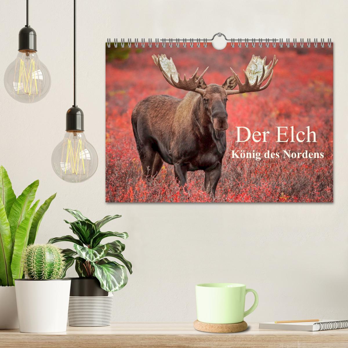 Bild: 9783435129669 | Der Elch - König des Nordens (Wandkalender 2025 DIN A4 quer),...