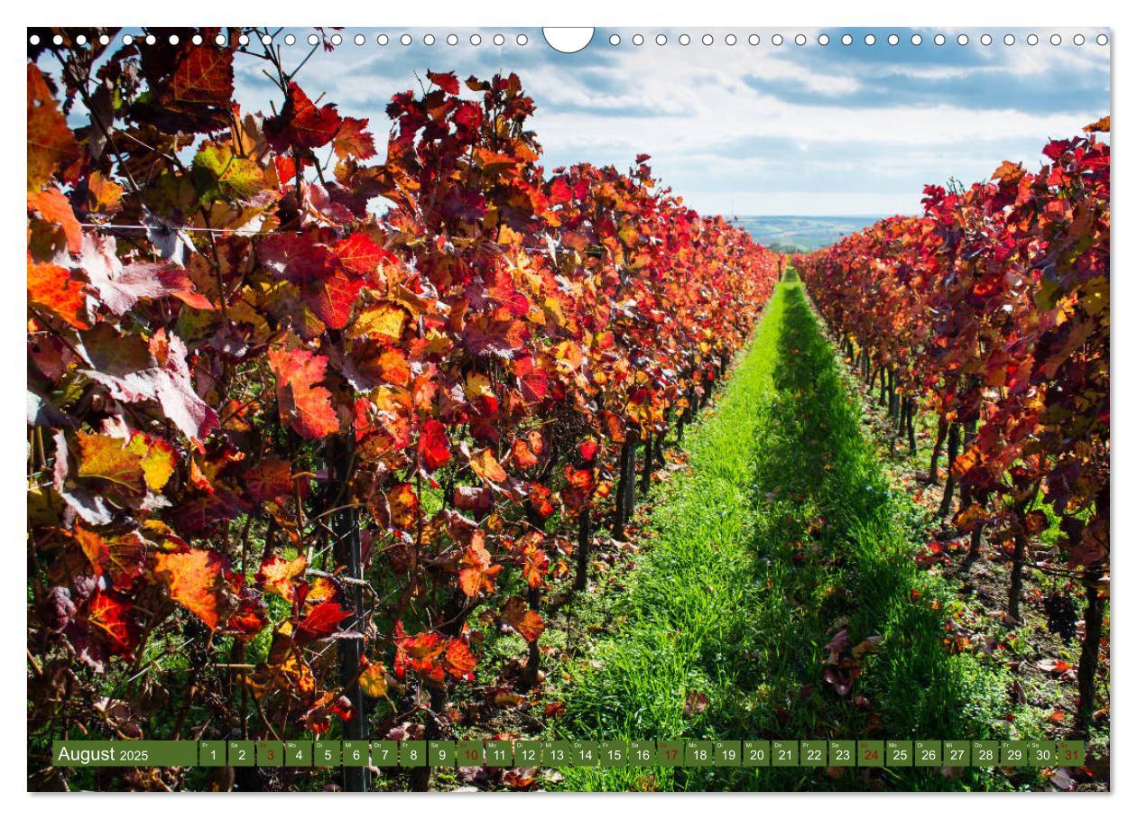 Bild: 9783435337705 | Wein - Landschaften (Wandkalender 2025 DIN A3 quer), CALVENDO...