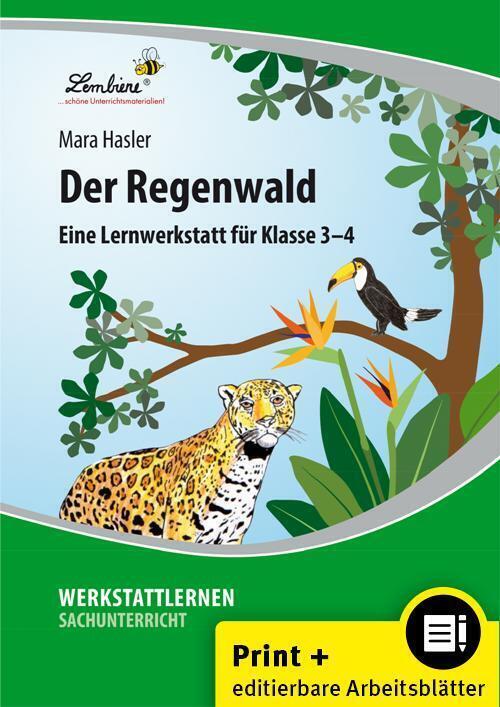 Cover: 9783869988146 | Der Regenwald, m. 1 CD-ROM | (3. und 4. Klasse) | Mara Hasler | 2015