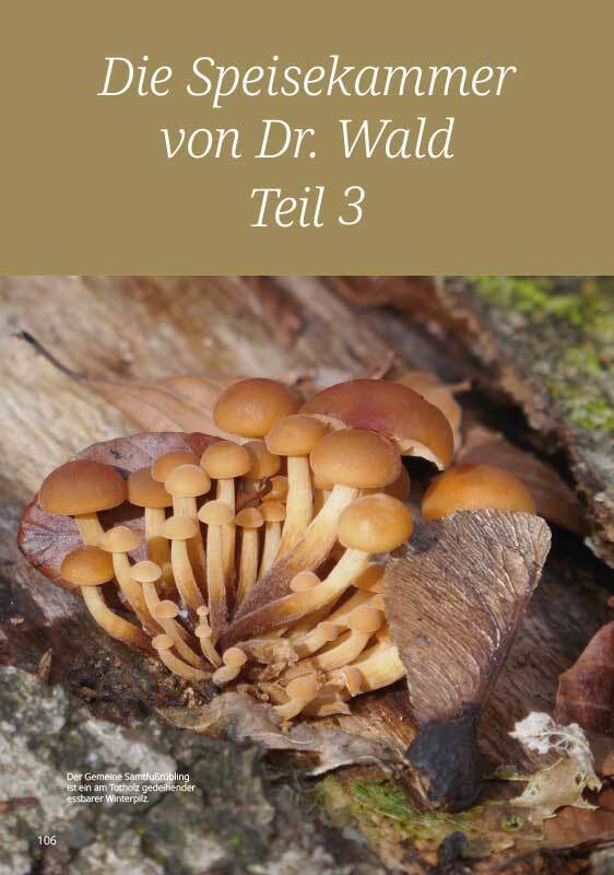 Bild: 9783945419106 | Dr. Wald und sein Holzknecht | Mensch &amp; Wald - eine starke Verbindung