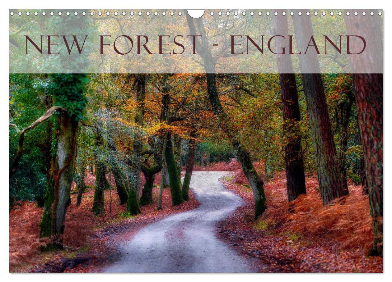 Cover: 9783435475964 | New Forest - England (Wandkalender 2025 DIN A3 quer), CALVENDO...