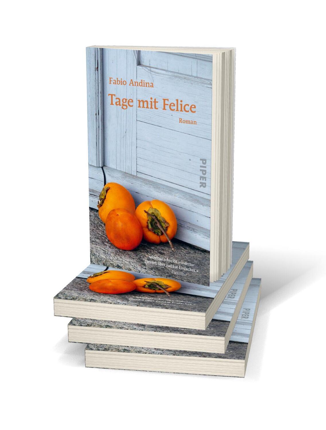 Bild: 9783492317597 | Tage mit Felice | Fabio Andina | Taschenbuch | 240 S. | Deutsch | 2022