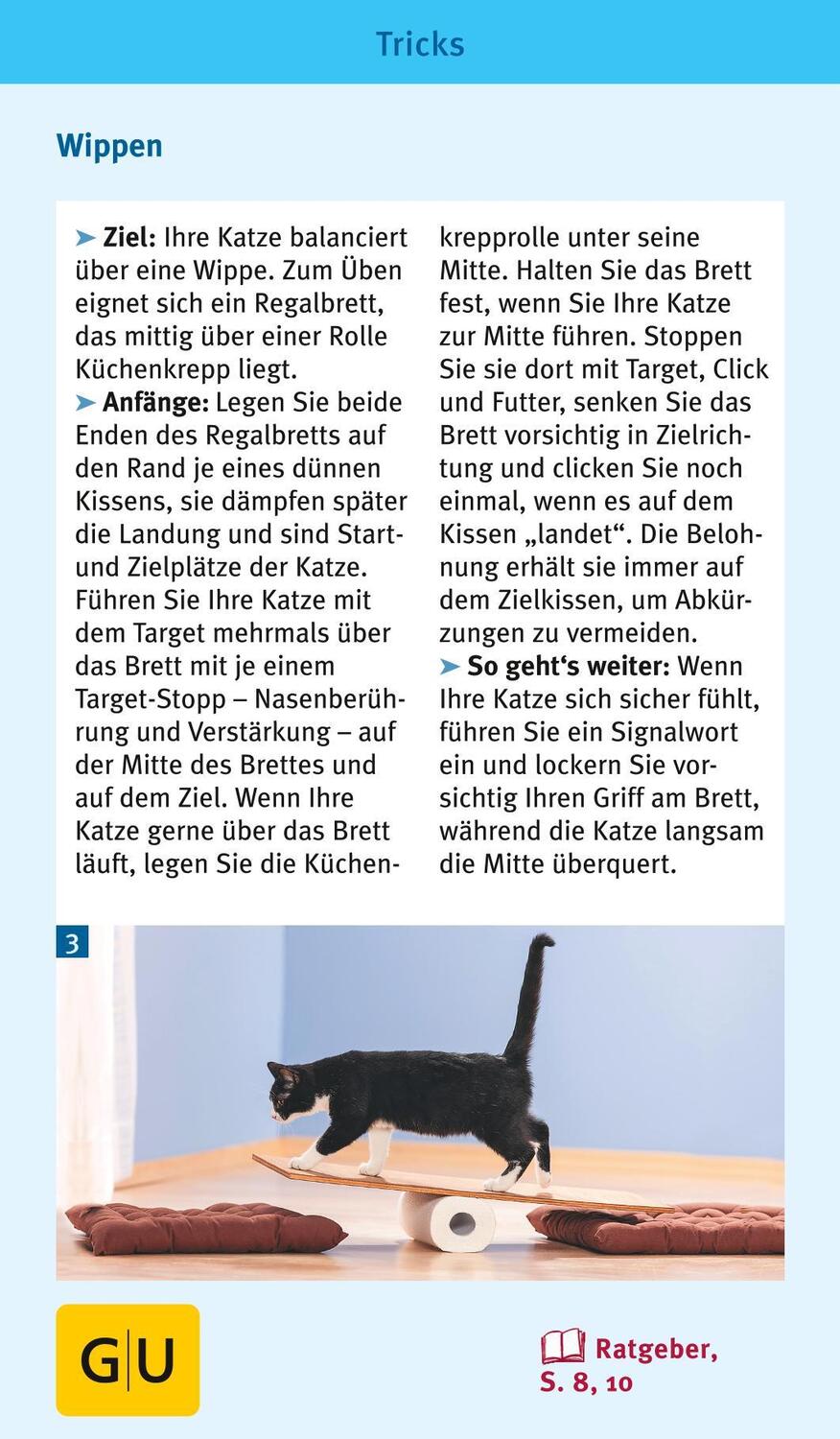 Bild: 9783833835926 | Katzen-Clicker-Box | Plus Clicker für sofortigen Spielspaß | Rödder